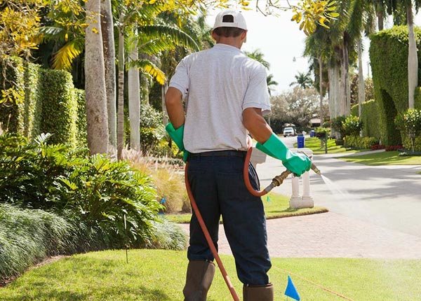 About Siler KY Pest Control